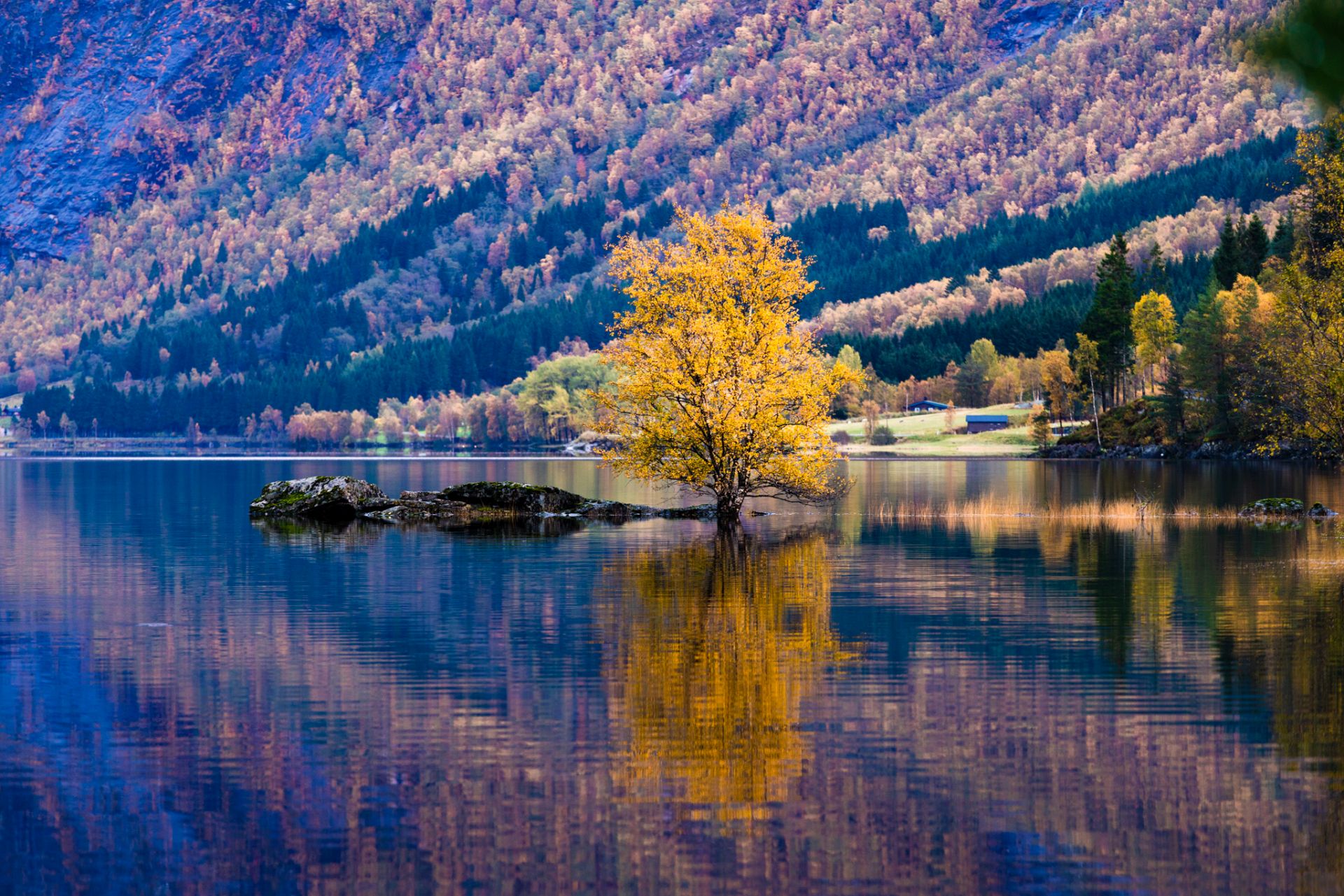 The Beautiful Colors Of Norway In Autumn Imanuel