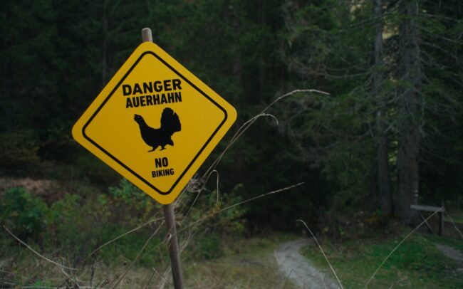 A yellow sign in front of a trail reading