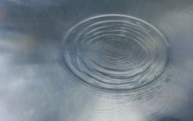Water ripples on calm blue water.