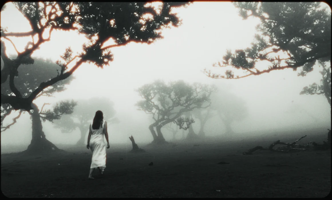 A woman in a white dress walking through a spooky forest in fog.